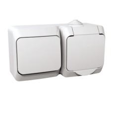WDE000500 Cedar Plus - single socket sideE+1p switch - 16A(X), white