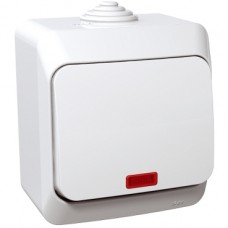 WDE000514 Cedar Plus - 1pole switch - 16AX, locator light, white 