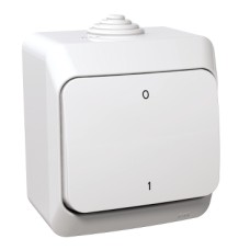 WDE000520 Cedar Plus - 2pole switch - 16AX, white