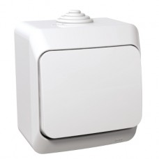 WDE000570 Cedar Plus - intermediate switch - 16AX, white 