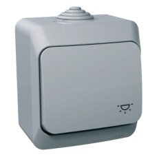WDE000613 Cedar Plus - 1pole pushbutton - 16A, light symbol, grey
