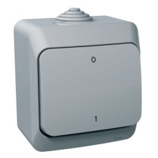 WDE000620 Cedar Plus - 2pole switch - 16AX, grey