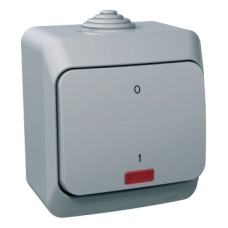 WDE000621 Cedar Plus - 2pole switch - 16AX, locator light, grey