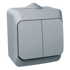 WDE000651 Cedar Plus - 1pole 2-circuits switch - 16AX, locator light grey