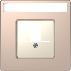 MTN4250-6051 Central plate with square opening and label field, champagne, System Design