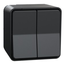MUR35022 Double switch, Mureva Stil, complete product, 1 pole 2 way, electromechanical, 10AX, IP55, grey